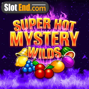 슈퍼 핫 미스터리 와일드