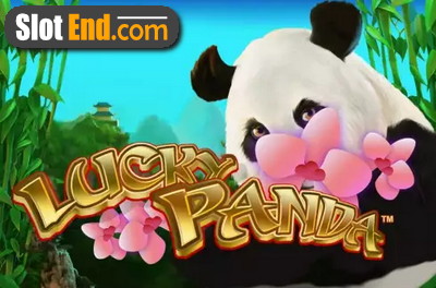 ラッキーパンダ（Playteh）